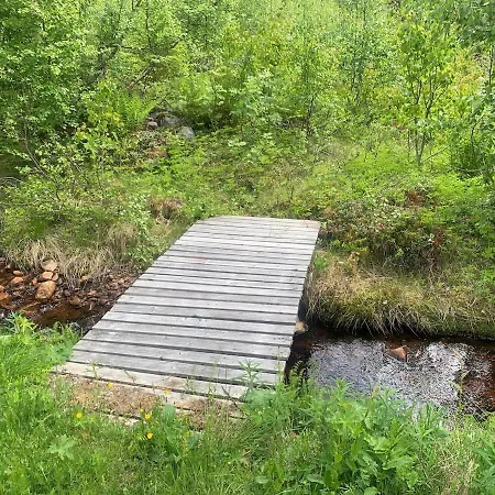 Beautiful Place Among Forests And Fields In A Good Old Style Eggedal