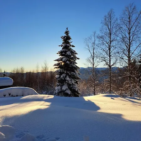 Beautiful Place Among Forests And Fields In A Good Old Style Eggedal