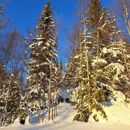 Beautiful Place Among Forests And Fields In A Good Old Style Eggedal
