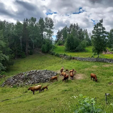 Beautiful Place Among Forests And Fields In A Good Old Style Semesterbostad Eggedal